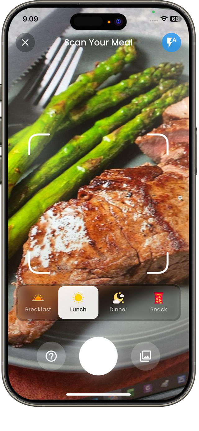 Snap Your Meal Instantly